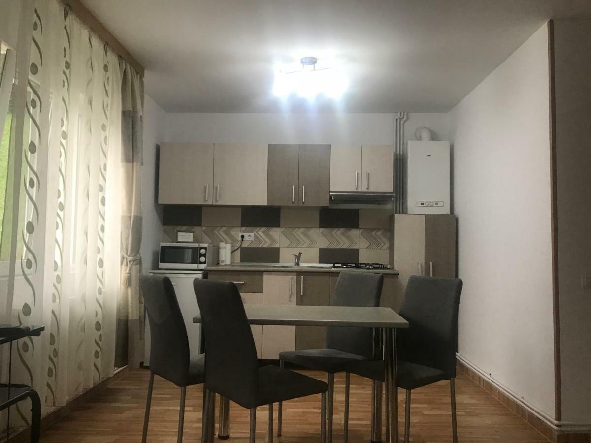 Garsoniera Family Daire Buşteni Dış mekan fotoğraf