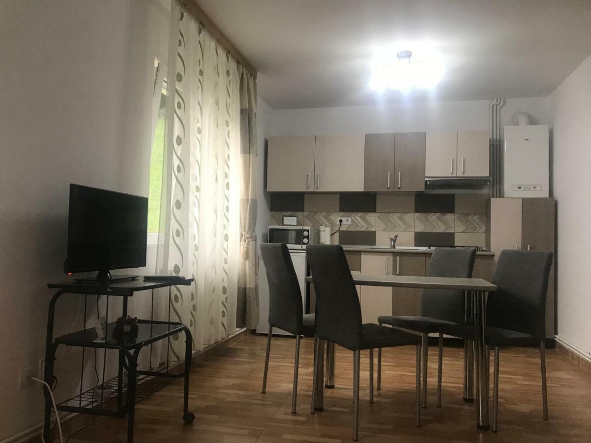 Garsoniera Family Daire Buşteni Dış mekan fotoğraf